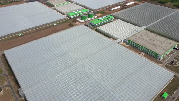 Aerial View of Huge Areas of Greenhouses for Growing Vegetables