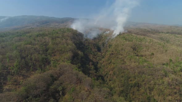 Forest Fire in the Mountains