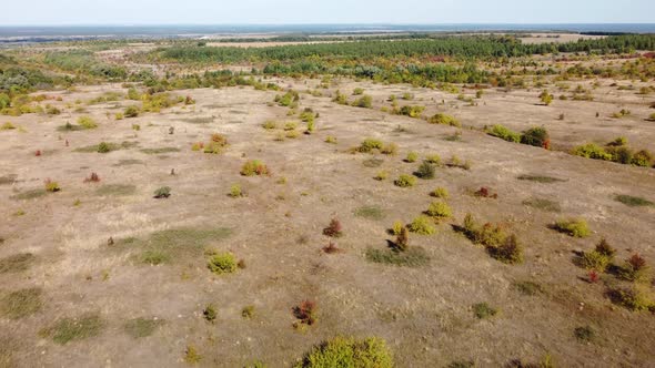 Plain Fields Trees From a Bird's Eye View