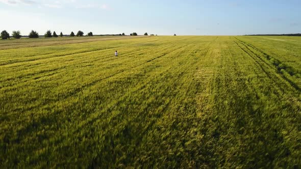 Children Running In Field. Aerial view of little man running in green wheat field alt