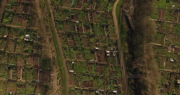 Flying Over Vegetable Farm