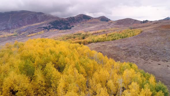 Flying over tree tops during peak Fall color