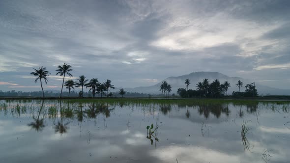 Time lapse beautiful cloudy day at two roll of coconut trees