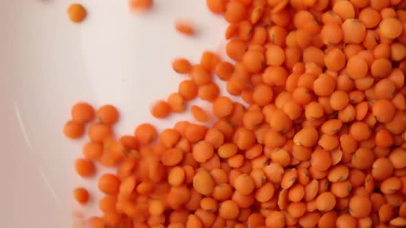 Falling red lentils, Dry orange lentil grains pattern