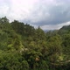 Tropical Landscape of Green Hills with Tea Plantations and Buildings - VideoHive Item for Sale