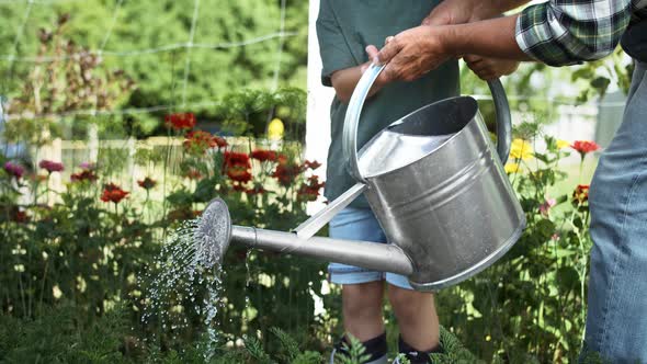 Video of grandfather with grandson watering vegetables in the garden