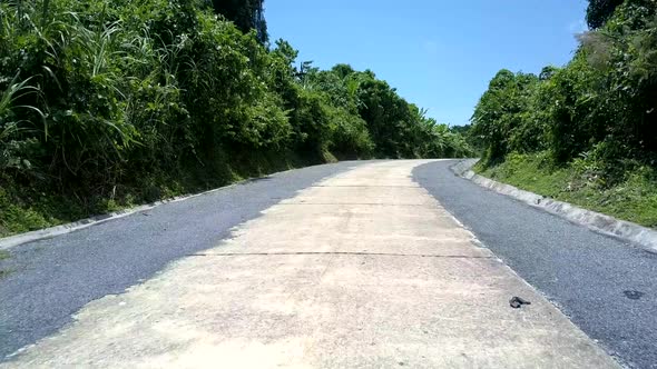 Jungle Road with Poles in Green Grass and Rain Gutter