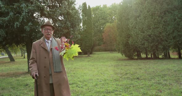 Elegant Senior Man with Crutch and Leaves Bouquet Walks and Talks in Park