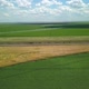 Calm Aerial Landscape of Green and Golden Agricultural Fields - VideoHive Item for Sale