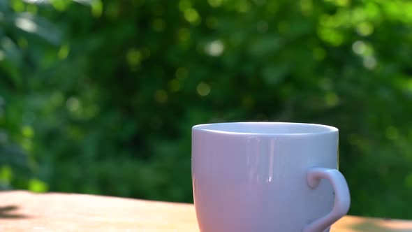 Hot Drink in a Cup Against the Background of a Summer Garden in the Morning