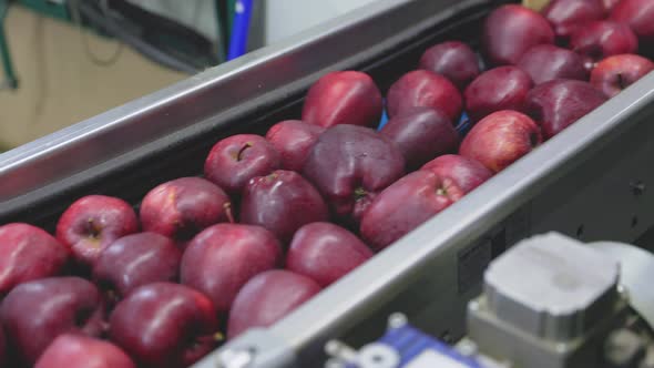 Red Apples on the Line By Sampling Apples