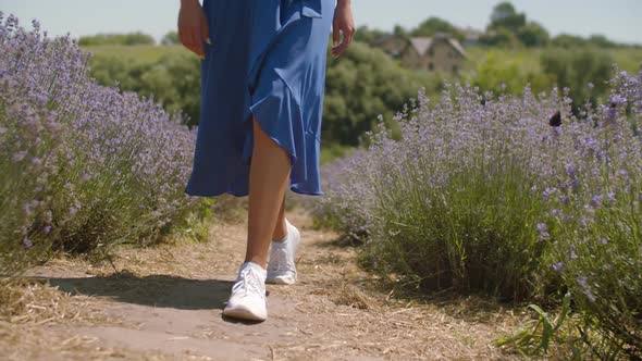 Feet of Woman Stepping Slowly in Lavender Field