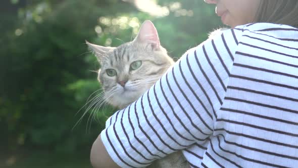 Asian Woman Holding Her Cat In The Light Of Sunset 