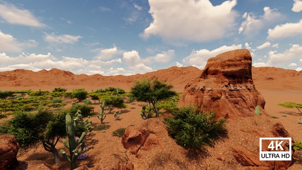 Aerial View Of Desert Landscape