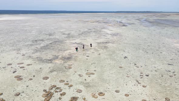 Shore of Zanzibar Island Tanzania at Low Tide Slow Motion