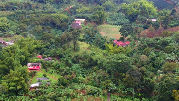 Agricultural farms in the high mountains of Ecuador