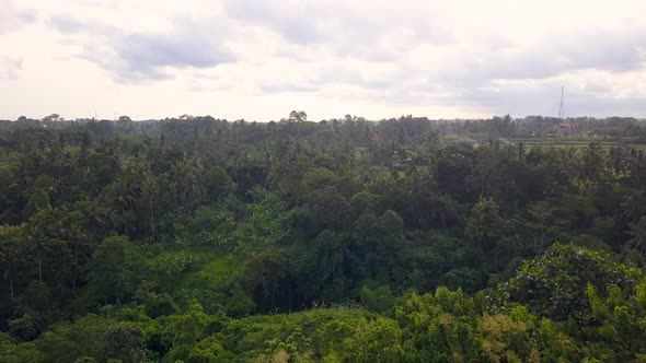 Natural Park on Bali Indonesia Island Aerial