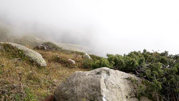 Clouds In The Mountains