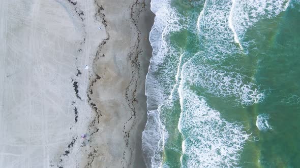 Tropical Sandy Beach in Florida, Aerial Top Vertical Footage