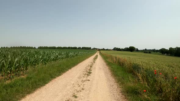 POV Driving on motorcycle on a scenic road in South Limburg, the Netherlands