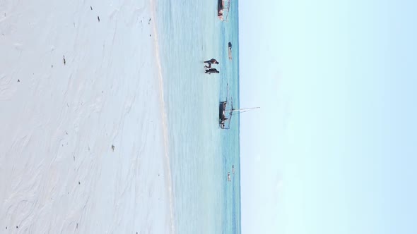 Tanzania Vertical Video  Boat Boats in the Ocean Near the Coast of Zanzibar Aerial View