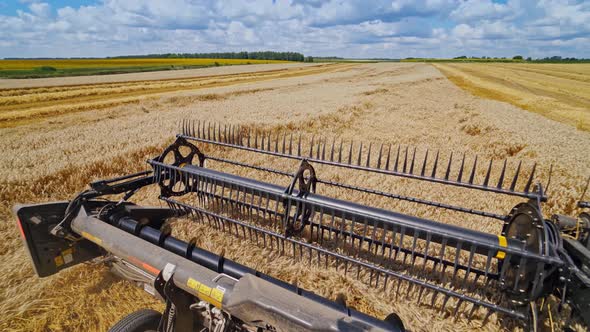 Combine harvester works on a beautiful landscape of nature