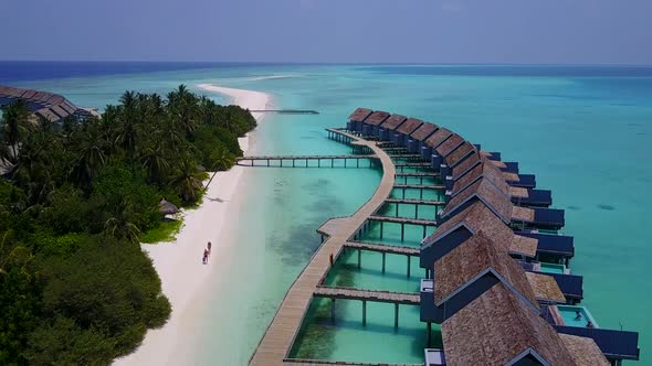 Aerial tourism of bay beach wildlife by clear sea with sand background