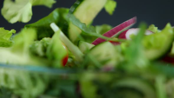 Fresh Salad Flying to Bowl in Super Slow Motion