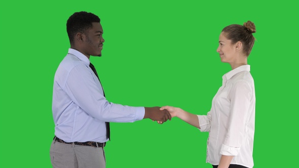 Professional business people handshaking on a Green Screen