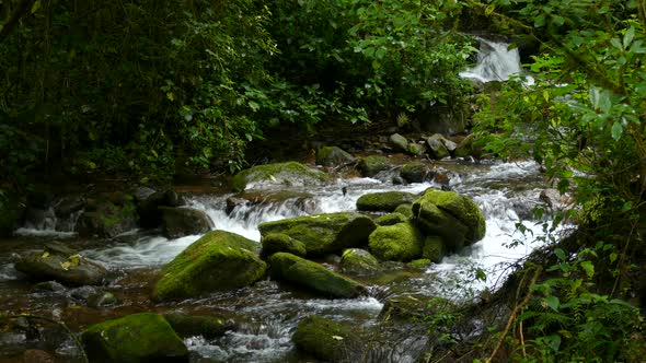 Water quickly rushes down a river from small waterfalls up stream flowing over and around moss cover