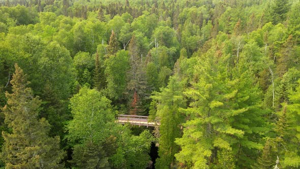 Aerial view of superior national forest during summer months, Minnesota north shore