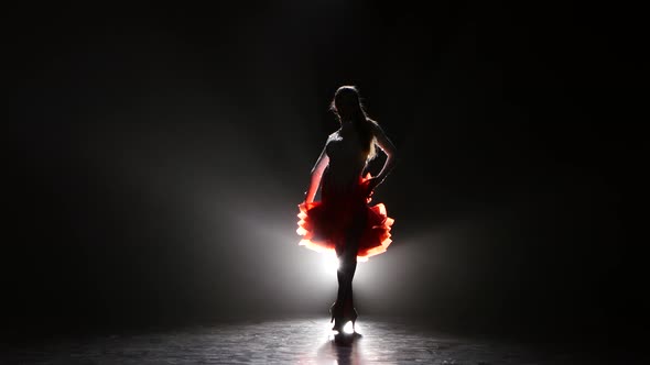 Beautiful Girl Dancing Rumba in the Studio on a Dark Background, Smoke, Silhouette