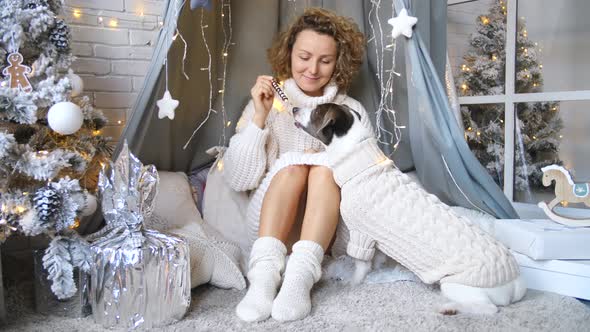 Cozy Holiday Christmas Season. Cheerful Woman Feeding Dog With Treat
