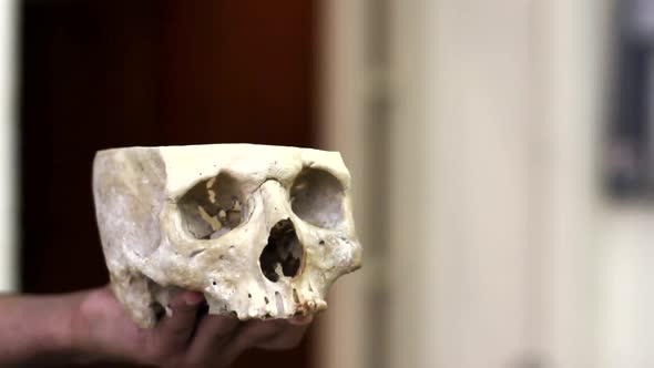 Scientist looking at a Human Skull.