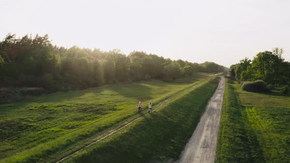 Two Girl Girlfriends Riding Bicycles in the Park at Sunset