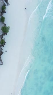 Beach on the Coast of Zanzibar Island Tanzania