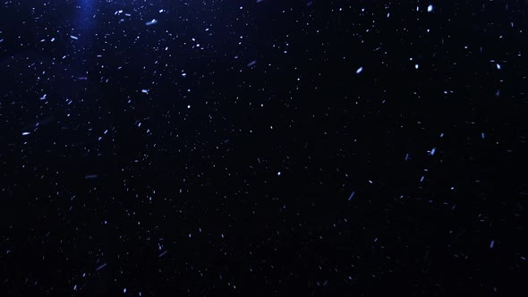 Snowflakes Falling At The Winter Night Background