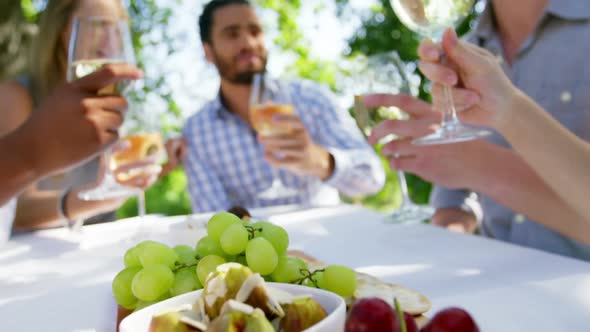 Group of friends toasting wine glasses