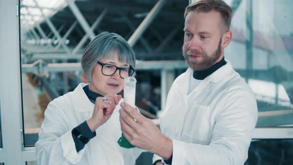 Two Farmworkers are Examining a Milk Sample