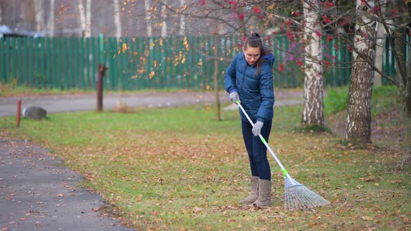 Girl collects dry leaves rake from the lawn in the village