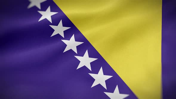 Bosnia And Herzegovina Flag