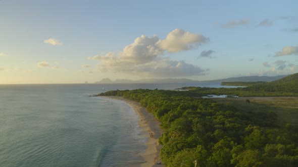 Aerial of green trees along beautiful sea coast