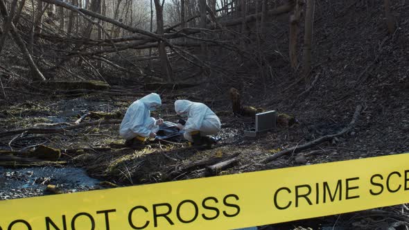 Forensic specialists working in the forest. Crime scene and police concept.