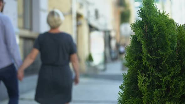 Yellow Press Journalist Taking Photo of Elderly Celebrity Walking With Young Man