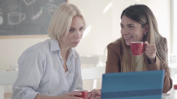 Beautiful Smiling Caucasian Women Drinking Tea or Coffee in Cafeteria and Talking