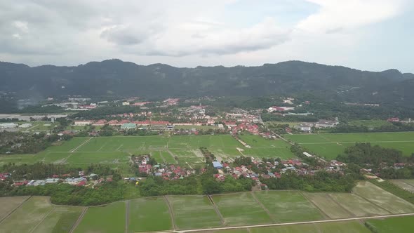 Aerial view paddy field at Balik Pulau