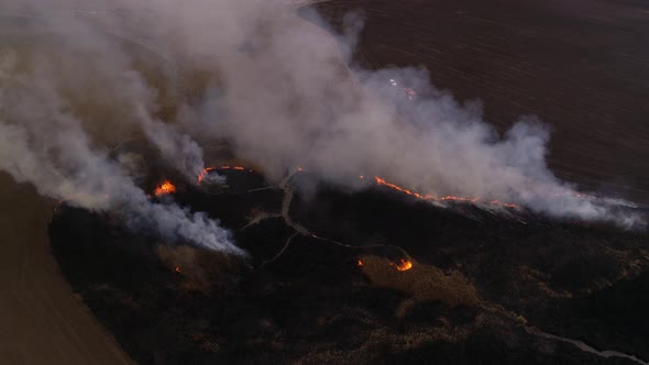 Disaster, Dry Lanes in Fire, Firefighters at Work