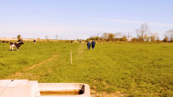 Two cattle farmers walking in the field