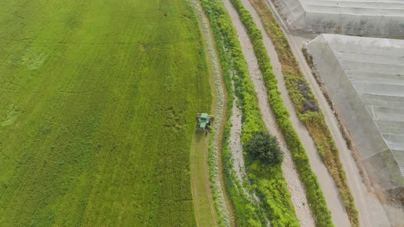 Combine harvester processing a large Wheat field for Silage, Aerial view.