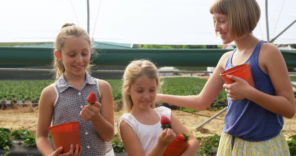Girls holding strawberries in the farm 4k